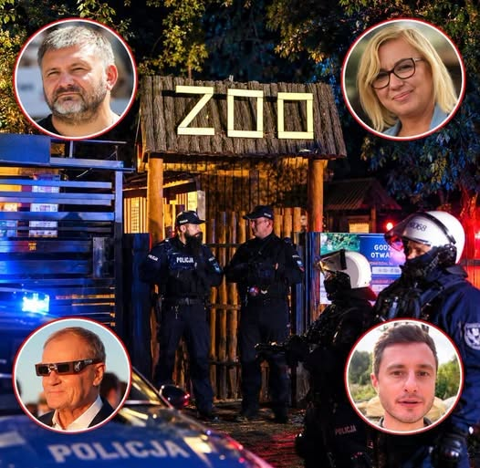 WygrajmyPolske's tweet photo. Bandycki napad na ZOO w Łącznej został zaplanowany na szczeblu rządowym przez ministrów Tuska!!!

Władze samorządowe i policja nie czują się odpowiedzialne za rozbicie i paraliż oraz deportacje zwierząt z ZOO w Łącznej i zwalają na prokuraturę. Jednocześnie przedstawiciel Policji przyznał, że akcja była planowana na poziomie rządowym. 
Bilans: ludzie - pracownicy ZOO tracą pracę, zwierzęta częściowo wywiezione zagranicę, założyciel p. Nowaczyk został zatrzymany z wnioskiem o areszt, na który sąd się nie zgodził i nakazał kaucję w wysokości 50 tysięcy zł, pozostałymi w Polsce zwierzętami nie ma kto się opiekować, za to prokuratura w Świdnicy ściga panią Katarzynę, policjantkę która ostrzegła właściciela ZOO o bandyckim napadzie policji i prokuratury. 
Z zemsty zamordowano jej psa, a fundacji z którą współpracuje zniszczono ogrodzenie pastwiska. W efekcie jedna z klaczy, Bianka, wpadła do głębokiego bagnistego wykopu, z którego po wielu godzinach wysiłków uratowali ją strażacy z OSP i JRG w Polkowicach. 

Spór o odpowiedzialność za setki zwierząt w ZOO Łączna nabiera tempa. Po piśmie burmistrza Mieroszowa Andrzeja Lipińskiego, które ujawniła Telewizja Dami Region, prokuratura odpowiada własnym komunikatem. I nie szczędzi uwag pod adresem samorządowca.
Trzy dni temu burmistrz zwrócił się o uchylenie postanowienia, na mocy którego powierzono mu zwierzęta na przechowanie. Argumentował, że gmina nie ma środków na zapewnienie im odpowiedniej opieki, wyżywienia i leczenia.
Teraz Prokuratura Okręgowa w Świdnicy informuje, że nie wpłynął dotychczas żaden rachunek dokumentujący koszty poniesione przez burmistrza na utrzymanie zwierząt.
Śledczy podkreślają również, że postanowienie o powierzeniu zwierząt nie zostało formalnie zakwestionowane w przewidzianym prawem trybie.
To jednak nie wszystko!
Prokuratura zapowiada działania zmierzające do zmiany dotychczasowego postanowienia. Nie wyjaśnia jednak, na czym ta zmiana miałaby polegać ani kto ewentualnie przejąłby odpowiedzialność za zwierzęta.

A CO ZE ZWIERZĘTAMI?
To właśnie one znalazły się w centrum sporu o kompetencje, odpowiedzialność i pieniądze.
Prokuratura powierzyła zwierzęta burmistrzowi. Burmistrz domaga się uchylenia tej decyzji. Teraz śledczy zapowiadają jej zmianę.
Tymczasem zwierzęta codziennie potrzebują karmy, wody, opieki weterynaryjnej i odpowiednich warunków.
Kto ostatecznie zapłaci? Kto będzie odpowiadał za ich bezpieczeństwo? I dlaczego po ponad tygodniu od rozpoczęcia interwencji nadal nie ma ostatecznego rozwiązania?
Sama prokuratura przyznała wcześniej, iż akcja relokacji zwierząt zakończyła się „totalnym fiaskiem”.
Czas skończyć z przerzucaniem odpowiedzialności. Zwierzęta nie mogą czekać, aż urzędnicy, samorządowcy i prokuratorzy ustalą między sobą, kto ma zapłacić rachunek!
No i oczywiście czekamy na pozwy karne i cywilne  wobec prokuratorów, policji i działaczy fundacji biorących udział w wywozie zwierząt z Polski.