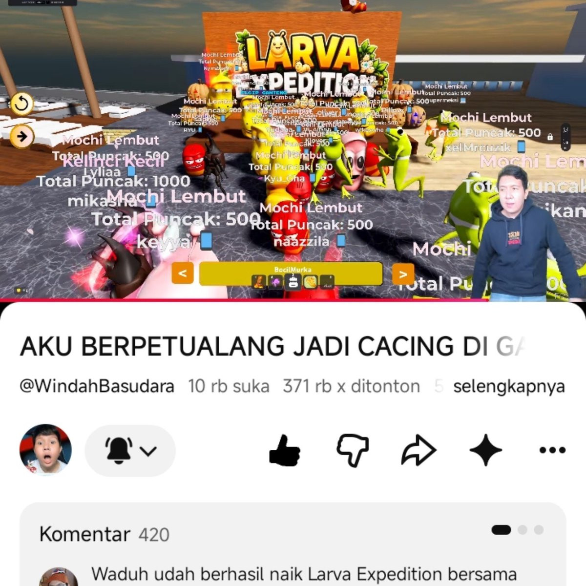tomapixie tweet picture
