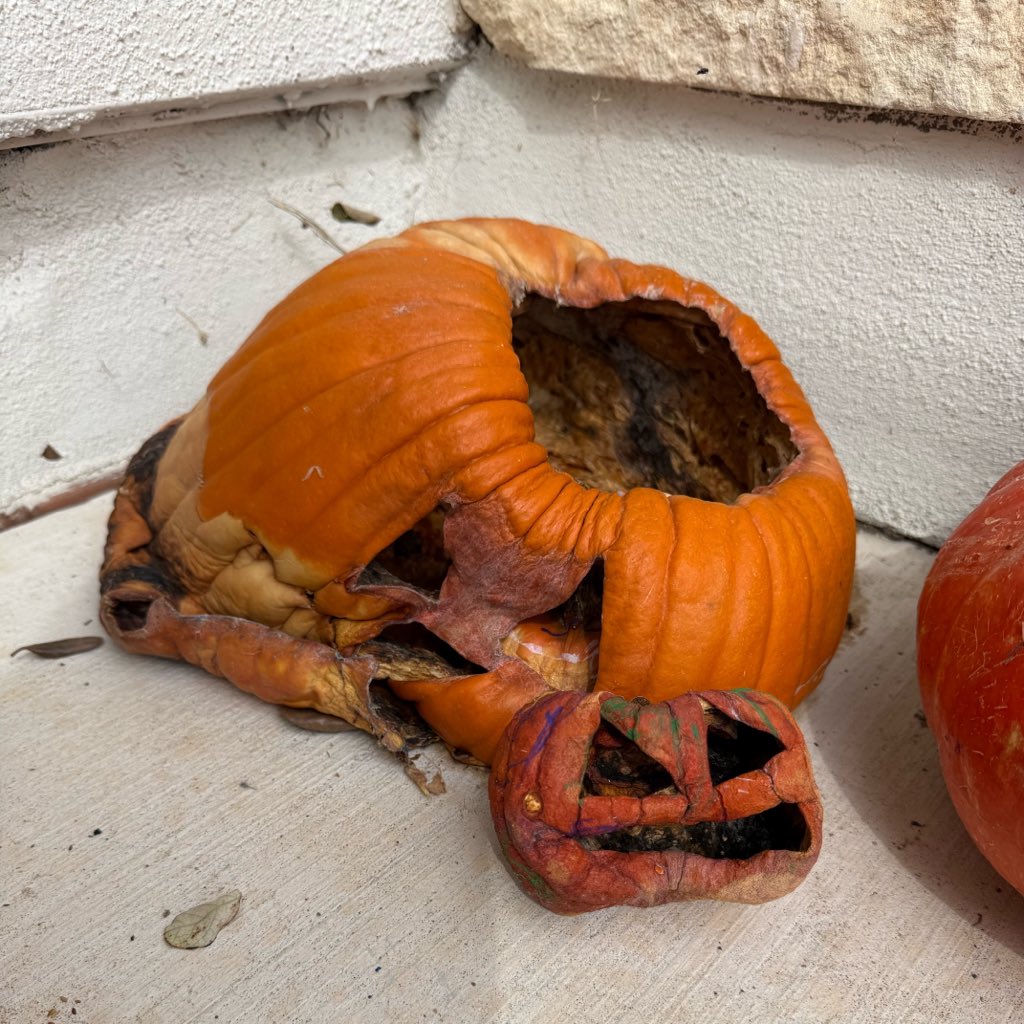RobFoxThree's tweet photo. Probably should’ve waited until the highs dropped out of the 90s before we put out our Jack-O-Lanterns. https://t.co/J4G2g5TLg7