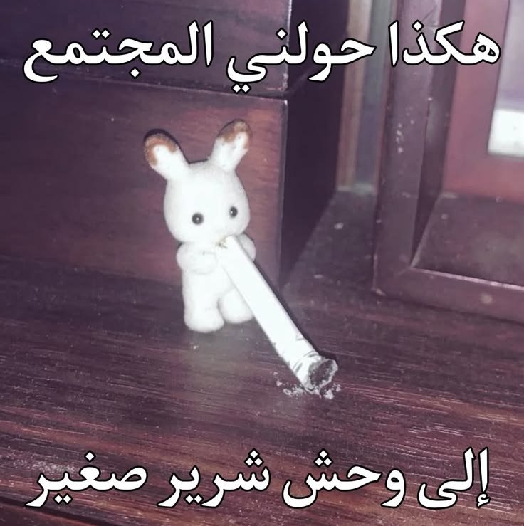 mo_badawy0's tweet photo. https://t.co/b8JBUuVym8