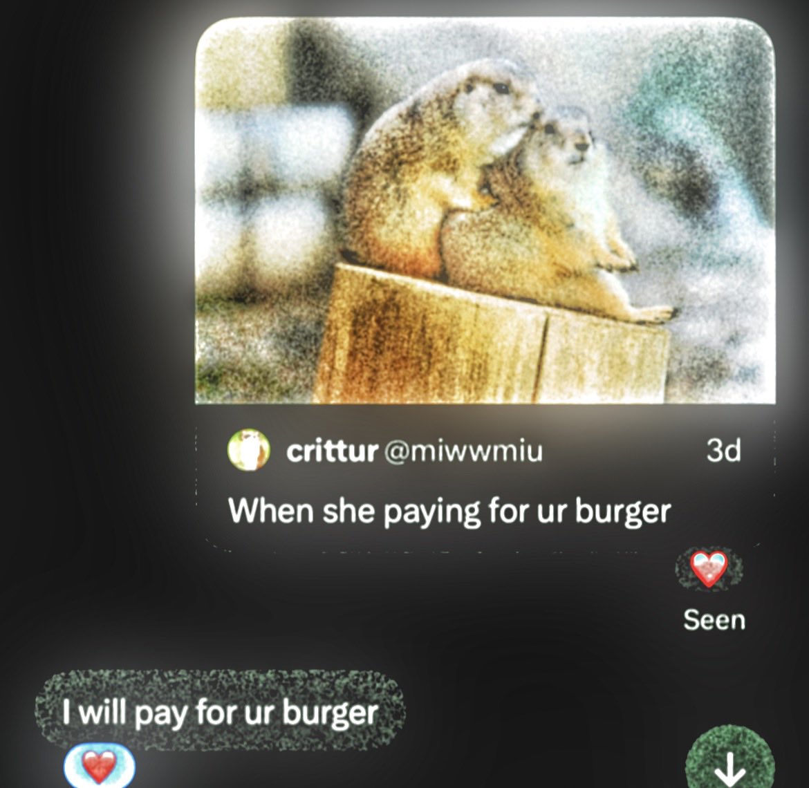 refriedbuttsect's tweet photo. https://t.co/dCl6AWXiHu
