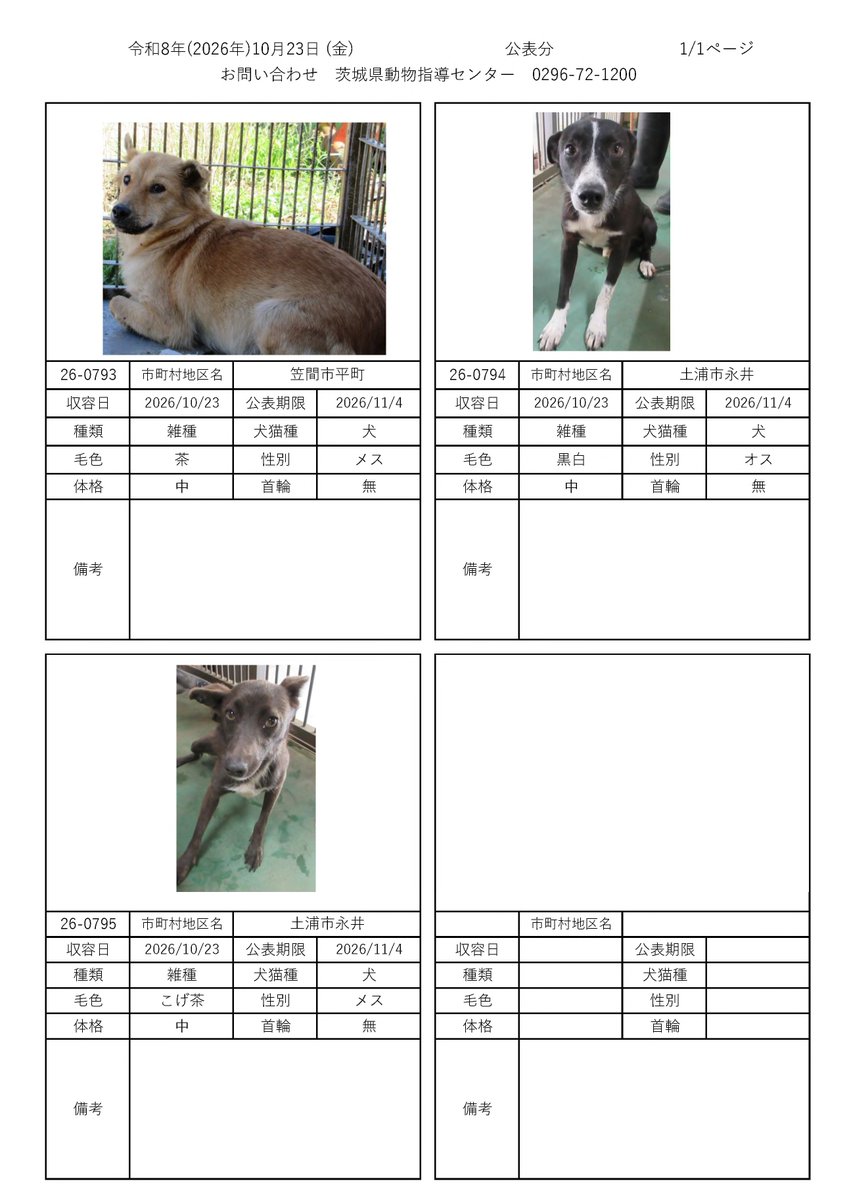IBARAKI_Animal's tweet photo. 茨城県動物指導センターで保護している、迷子の犬猫の公表情報です。🐕🐈
お心当たりの飼い主様は動物指導センターにお電話ください‼️
動物指導センター
☎︎0296-72-1200(受付時間：平日8:30〜17:15)

10月23日（金）公表情報 https://t.co/3puGsGJBax