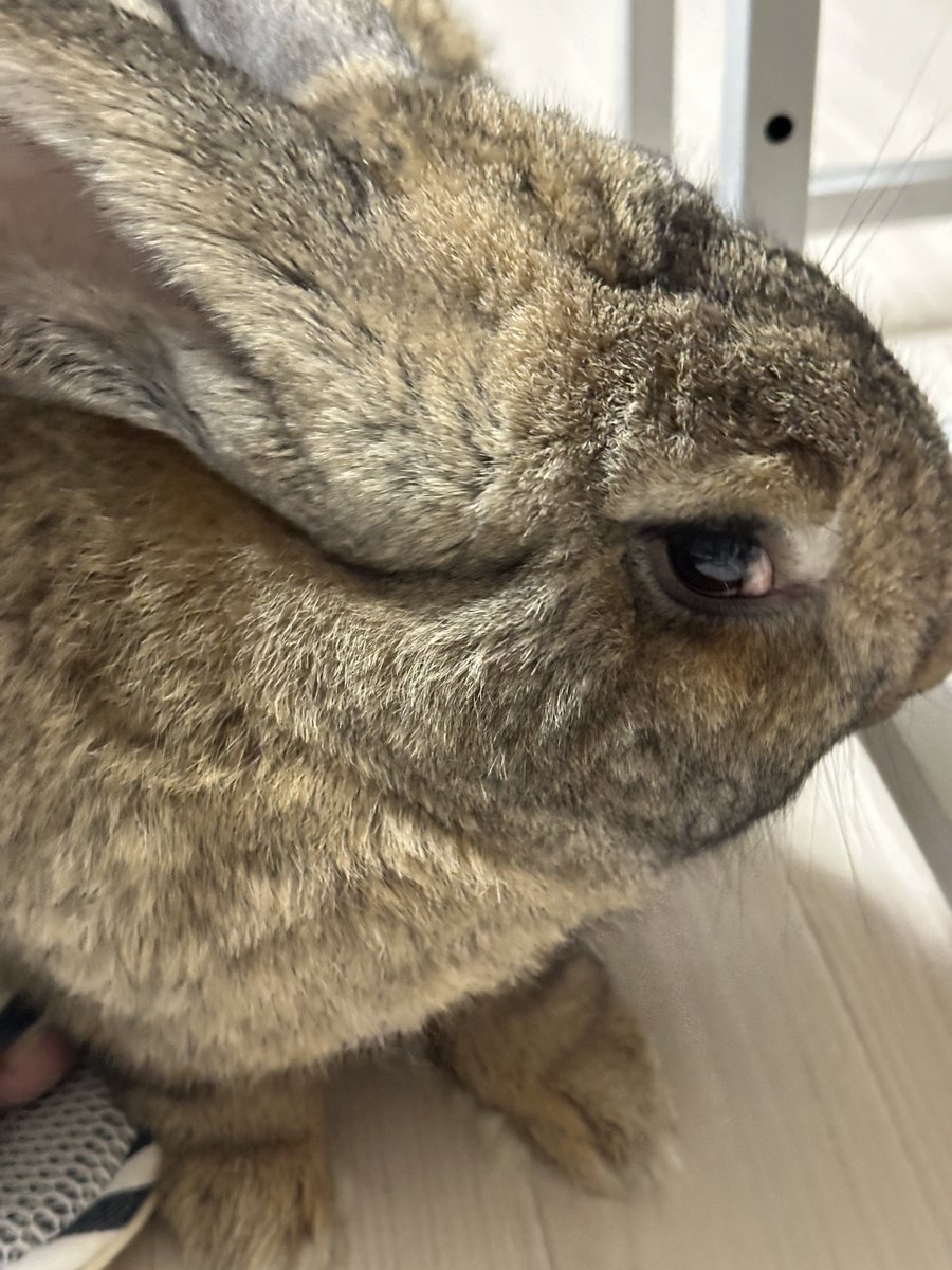 rem_0339's tweet photo. おはでか☺️ https://t.co/7QCRVX9GZ4