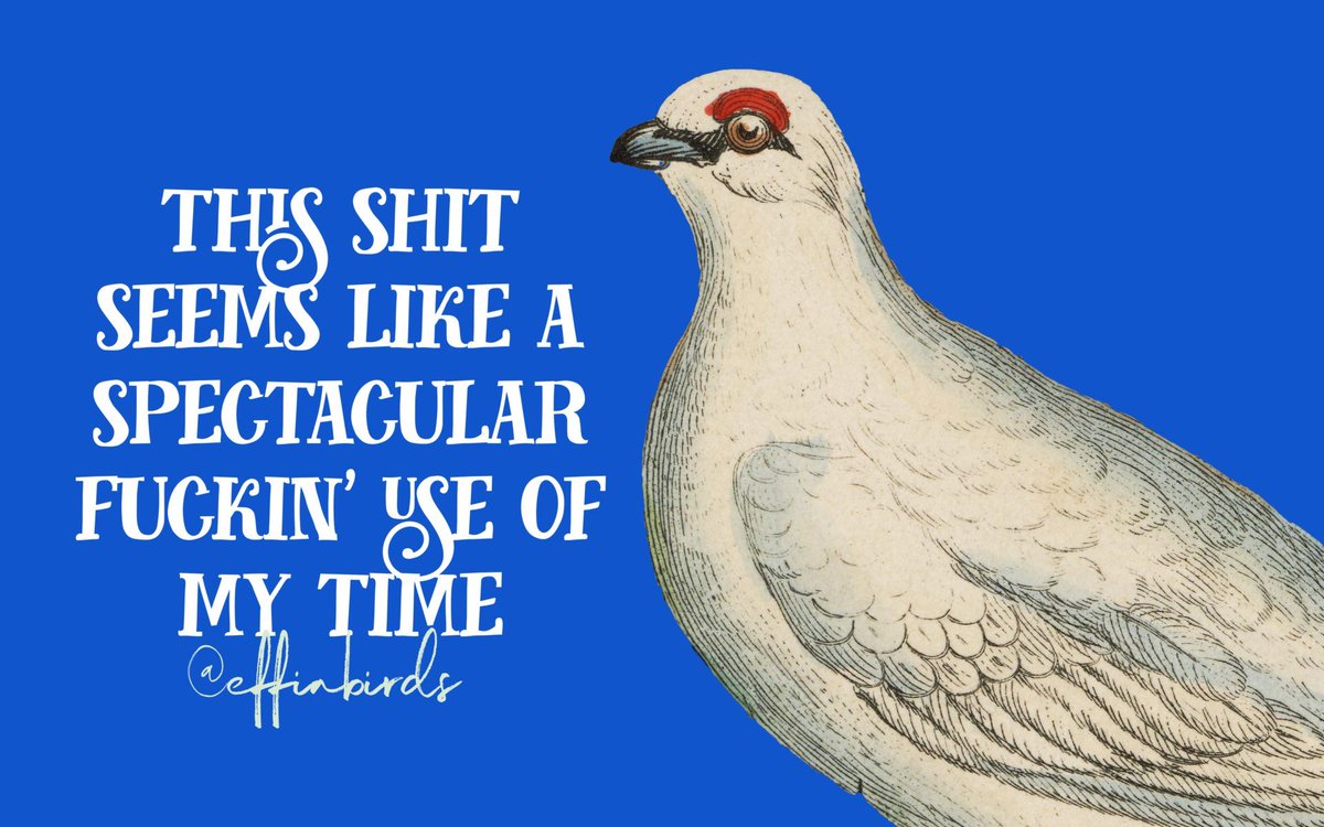 EffinBirds's tweet photo. https://t.co/zAKcE7xQxJ
