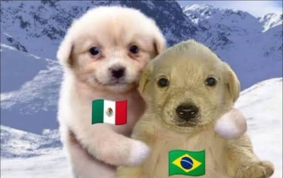 LaTayMexicana's tweet photo. Brasil resiste ❤️‍🔥 https://t.co/3PFsPeM5h9