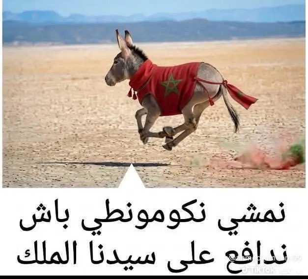 Moustaphahh's tweet photo. @Jlakha06 @alhaadiahmad التاريخ لا يرحم يامن تسرقون التاريخ غيركم صنعتكم فرنسا https://t.co/KlwadzHBUV