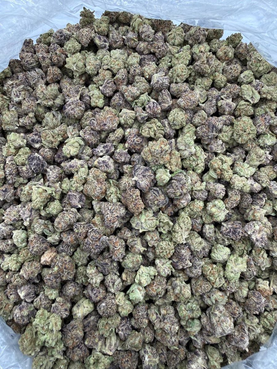 realwillyzaza's tweet photo. Do yall fw smalls?
#caliweed #trap #CannabisCommunity #weedporn #StonerFam #dispensary #tapin #420friendly #420community https://t.co/gVJCxfz0nF