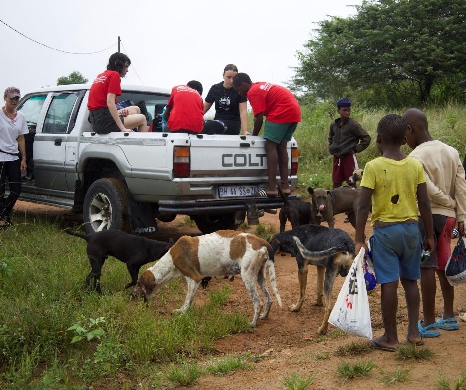 Network4Animals's tweet photo. 🇿🇦🐕 KZN Valley Dogs delivers food and vet care to rural communities where dogs depend on their weekly visit. Their 20-year-old vehicle urgently needs replacing. We need to raise $10,000 (£7,500).

👉 Donate today: https://t.co/UfhVn6rb09 https://t.co/NIV80xQkHd