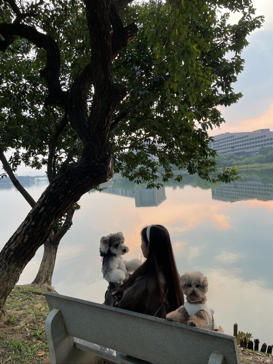 hikatahikatahik's tweet photo. 「ついに！謂凡狗稍堤に到着！散歩に最適な道、最高の癒しスポットです」 https://t.co/OxIwfIkEC7