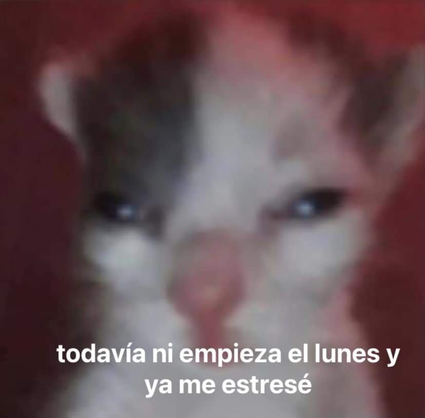 Mantequilla90's tweet photo. https://t.co/fZWy7IDLCs