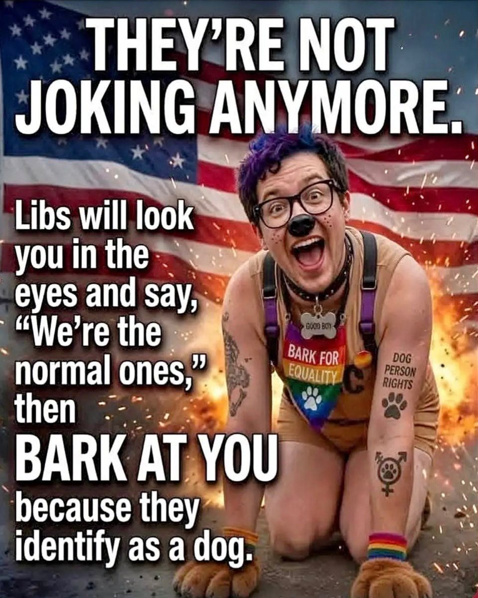 lipsky_joseph's tweet photo. @AnthonyGalli Wow. If your 12 year old nephew wants to be Cinderella both he and you need to see a shrink. You and most of the evil democratic party are enabling mass mental gender dysphoria. https://t.co/glVk9zWavT