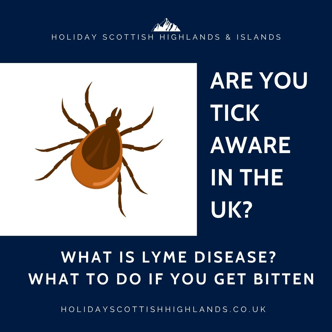 holidayhighland's tweet photo. 💙🏴󠁧󠁢󠁳󠁣󠁴󠁿 Are you tick aware? Please read and share to prevent cases of #Lymedisease by raising awareness of the importance of tick bite prevention in Scotland and the UK. 

Find out how to prevent tick bites: https://t.co/6XmXYrkhsk

#BeTickAware https://t.co/tFWV7sdkoX