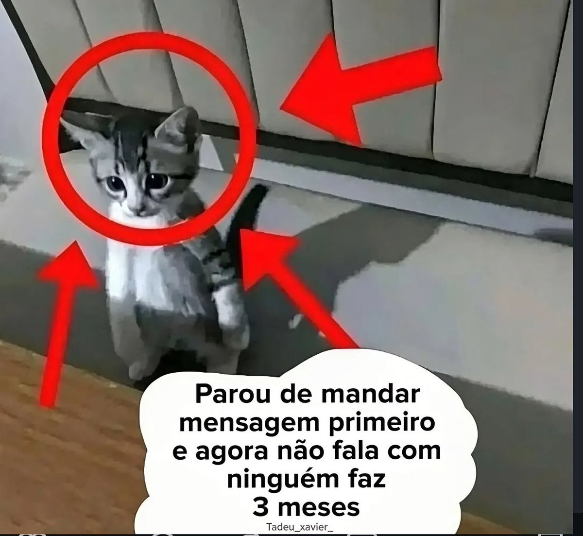 shitpostverdade's tweet photo. https://t.co/V9vhae59pN