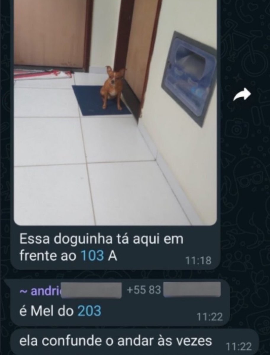 shitpostverdade's tweet photo. https://t.co/xwTluRBDHN