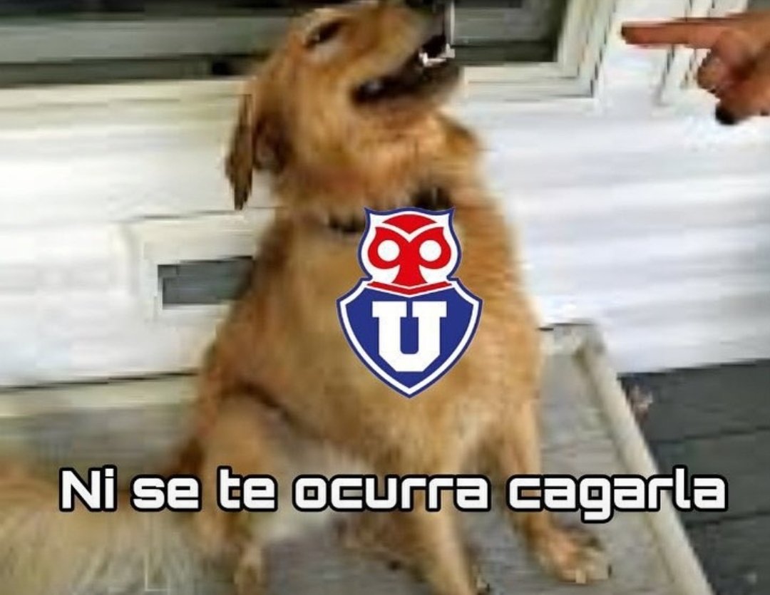 mark38i's tweet photo. CTM!!! Ya sabes ya!! 
,#VamoslaU 🤣 https://t.co/hno6yFZpWr