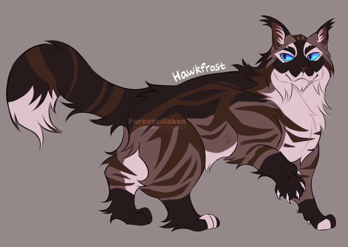 purevanillabun's tweet photo. Hawkfrost doodle I might change his design later on https://t.co/X4SqP09Xa2
