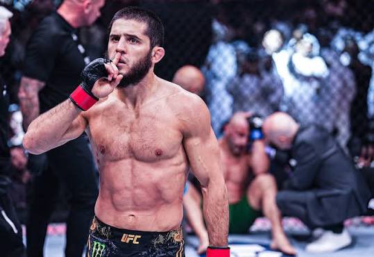 fwadot's tweet photo. @fiveninesixone @MMAJOEYC ur on our leash son, we own u🦮 https://t.co/zMMCKjrzzQ