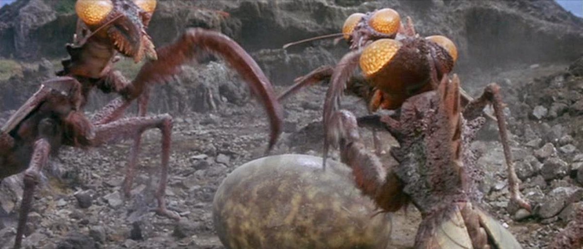 domesticmothman's tweet photo. Son of Godzilla (1967) https://t.co/domW3honlx