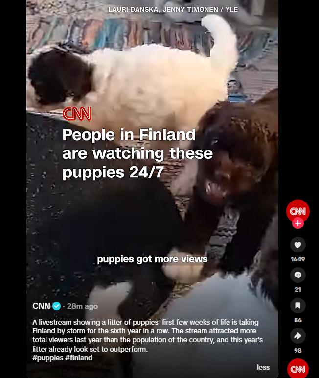 Tiger_Fee_2014's tweet photo. This is the next Kardashians.. but its PUPPIES??

A livestream of litter puppies is going INSANELY viral in Finland right now. IT IS GETTING MORE TOTAL VIEWERS THAN THE POPULATION OF THE COUNTRY

People are literally obsessed with it, with some comparing it to the puppy version of the truman show

The show is called Pentulive

https://t.co/DiUbGOrH6d

https://t.co/iViNOu1rE3…
