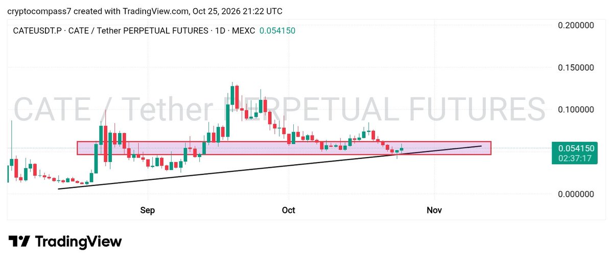 cryptocompass7's tweet photo. 🚀 $CATE — THE ROAD TO A $1B MARKET CAP? 👀

$CATE is showing an ascending trend, and I’m watching closely to see whether this momentum can continue.

🐂 My bullish scenario: A potential run toward a $1B market cap.

⏳ My personal timeline: At least 4 weeks from now, with February 2027 as the outer window for this thesis to play out.

Of course, this is a prediction, not a guarantee. Trend continuation, volume, and broader market conditions will matter.

Can $CATE surprise the market? Keep it on your watchlist. 🔥

#CATE #Crypto #Memecoins #Altcoins #Bullish #CryptoTrading #PriceAction