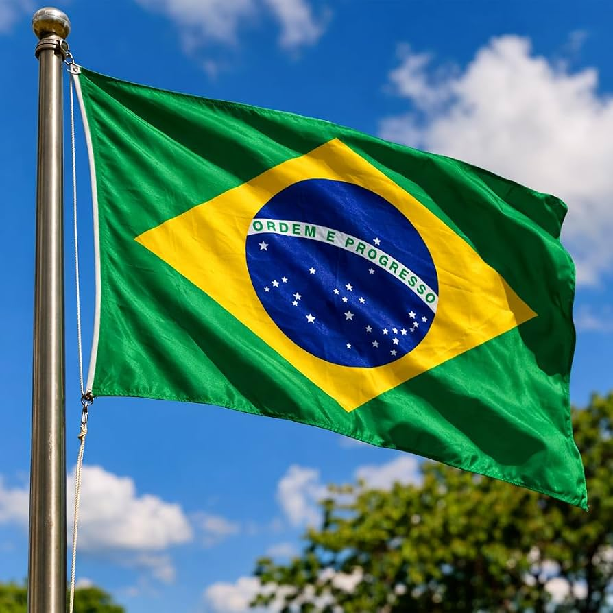 _josevittar's tweet photo. RT @centralreality: 🚨OFICIAL: Luís Inácio Lula da Silva é reeleito Presidente da República! #Eleições2026 https://t.co/8i6UwYb1ZA