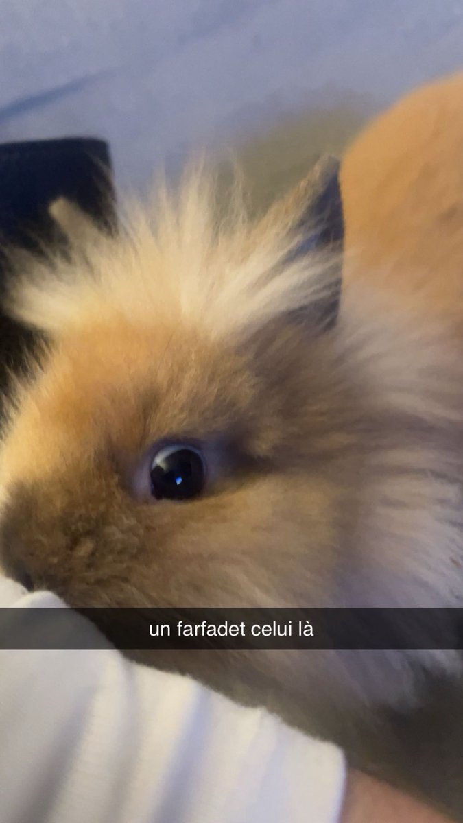 minichulaa's tweet photo. @el_ms_ c’est ton signe ma go https://t.co/zEqMkR53bo