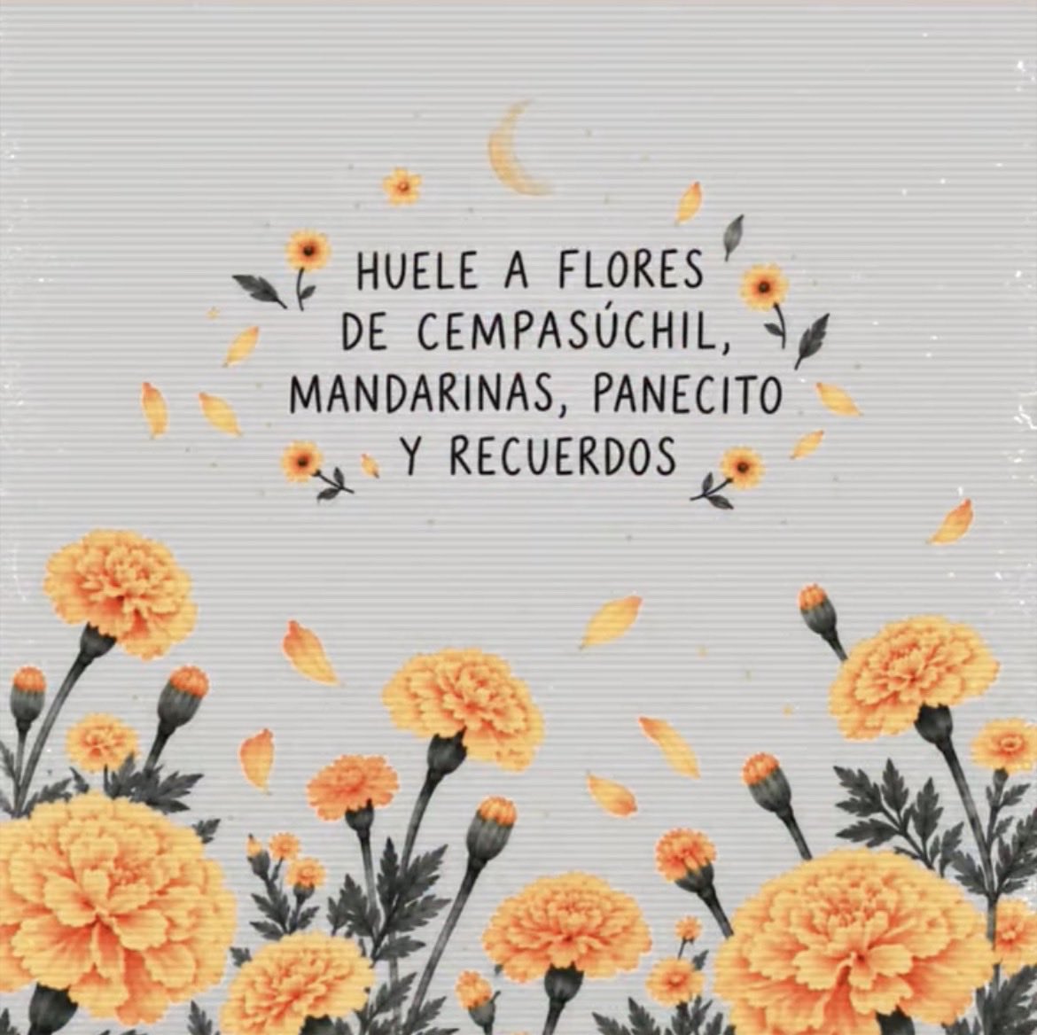 Amiliartesanal's tweet photo. 🫶🏼 🧡 🤍 https://t.co/DgUWFDFffR