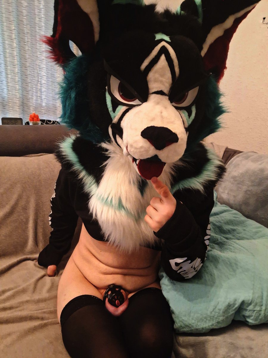 Fenrir__AD's tweet photo. caged and still this needy. what would you do? ๐ฉ
#femboy #fursuit #murrsuit #goodboy #furrynsfw #nsfwtwt #pupplay #chastity #thighhighs https://t.co/OdjmA4yEHg