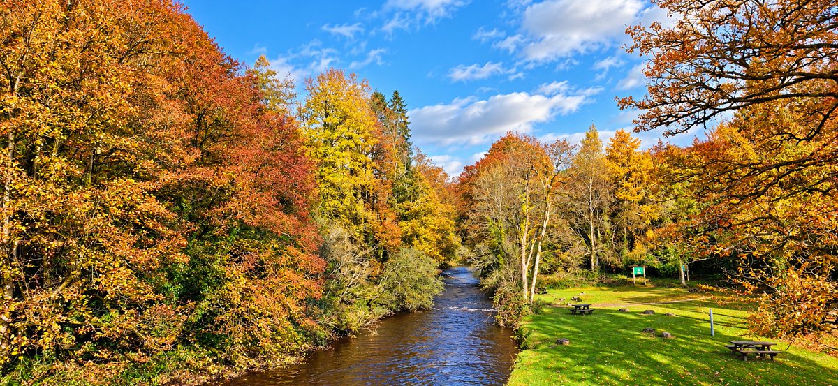patrickkenealy's tweet photo. Autumn Colours starting to show today while cycling around West Waterford. @AimsirTG4 @ancienteastIRL @barrabest @deric_tv @DiscoverIreland @discoverirl @Failte_Ireland @welovewaterford @VisitWaterford @WaterfordPocket @WaterfordGrnWay @GoToIreland @GoToIrelandUS @DungarvanTIO https://t.co/GhgYtEXa8s