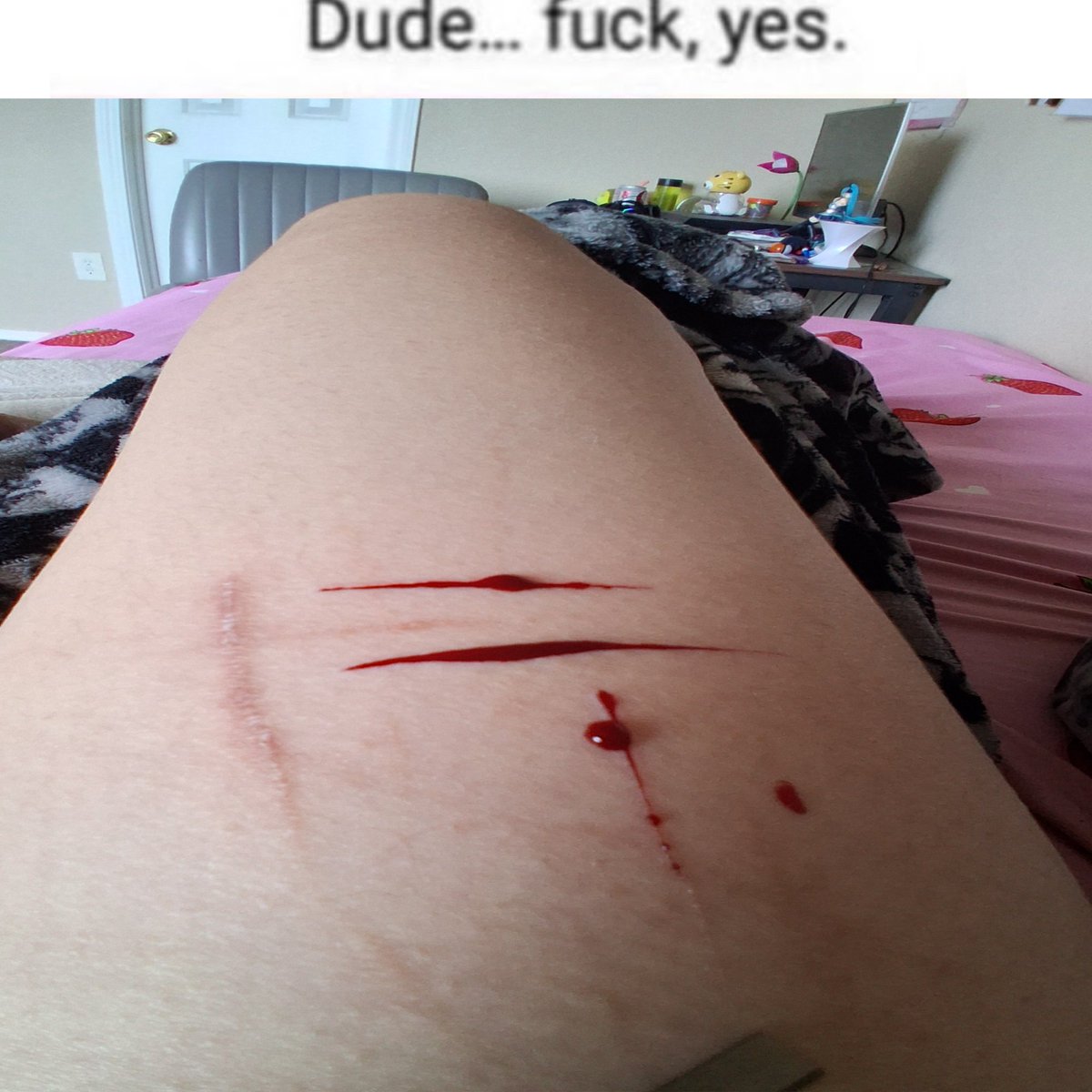 cheriezai's tweet photo. i like how it opened up (o´3`o) https://t.co/9GyPvRoexB
