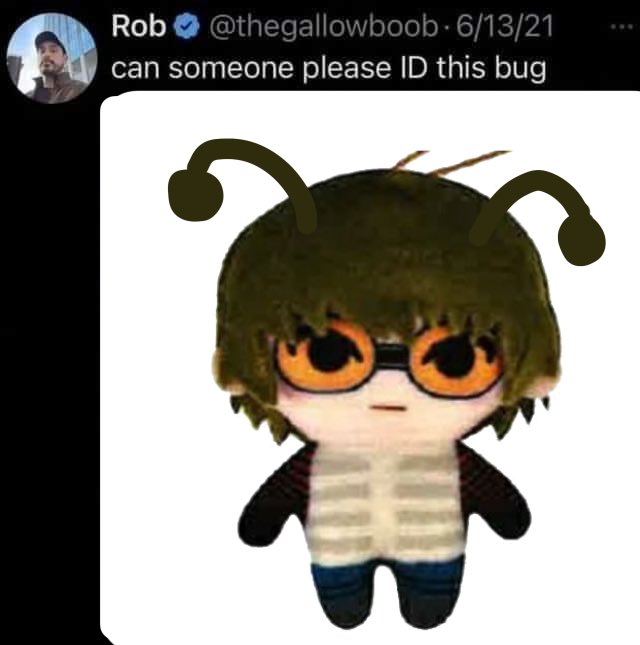 vinwincy's tweet photo. https://t.co/XmrDF5ACpF