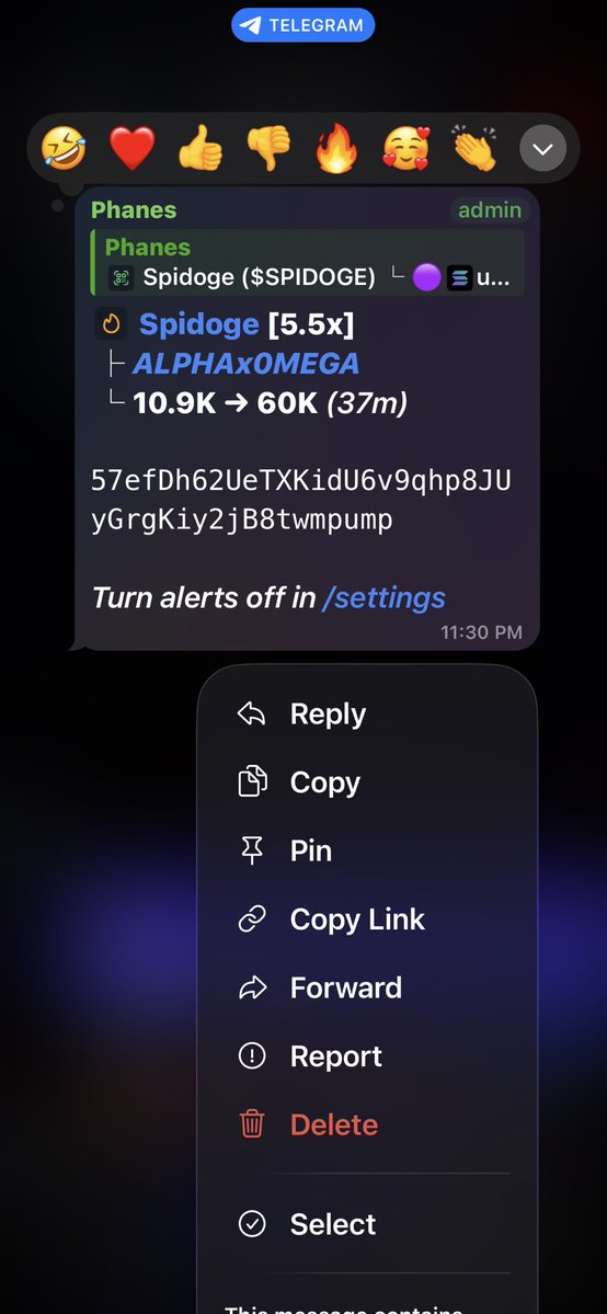 ALPHAxOM3GA's tweet photo. 8x
$SPIDOGE 

57efDh62UeTXKidU6v9qhp8JUyGrgKiy2jB8twmpump https://t.co/Q1fRWmci5a