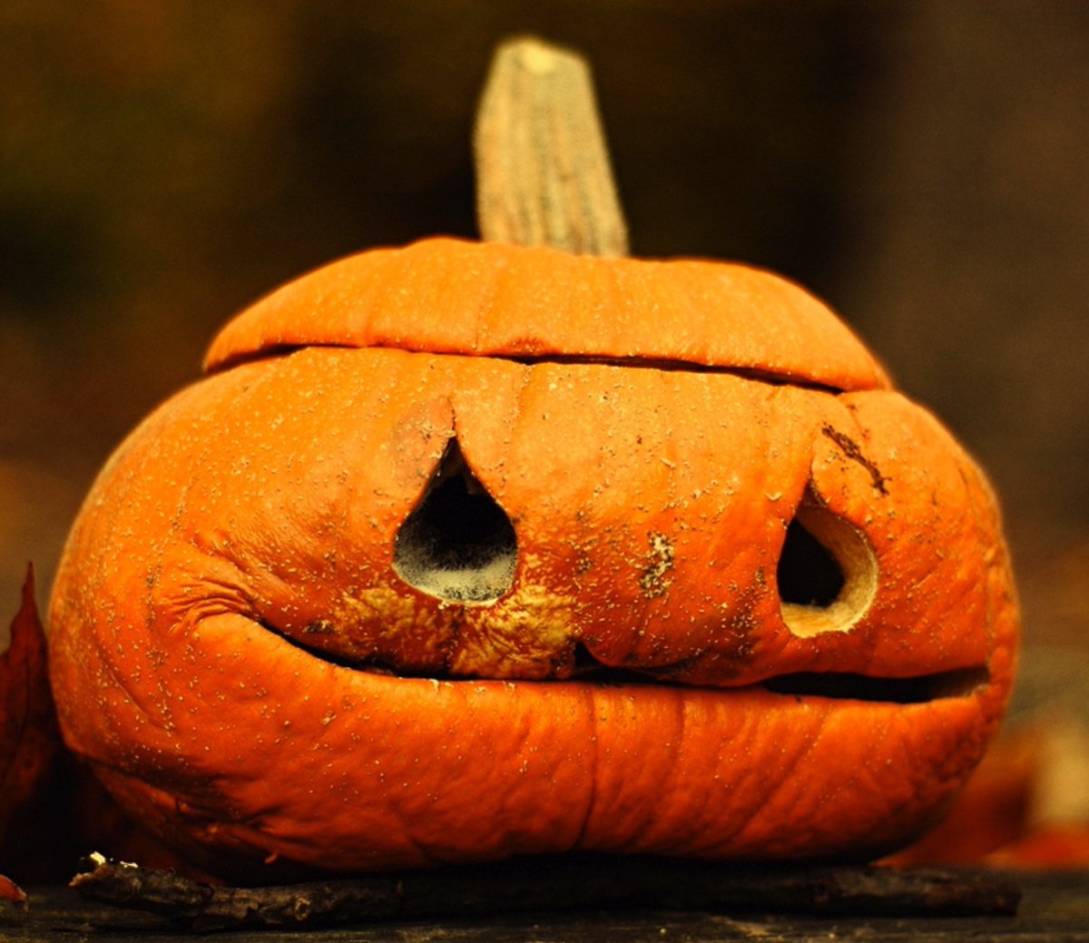 Carboniz8ion's tweet photo. Now that it's technically Oct. 26 in some places I'd like to share a fun fact that Tuukka's birthday (Oct. 26th) is also national pumpkin day! Maybe that's what the P in MP stands for after all 🤔🤔🤔🤔 https://t.co/4VpdxSjhK8