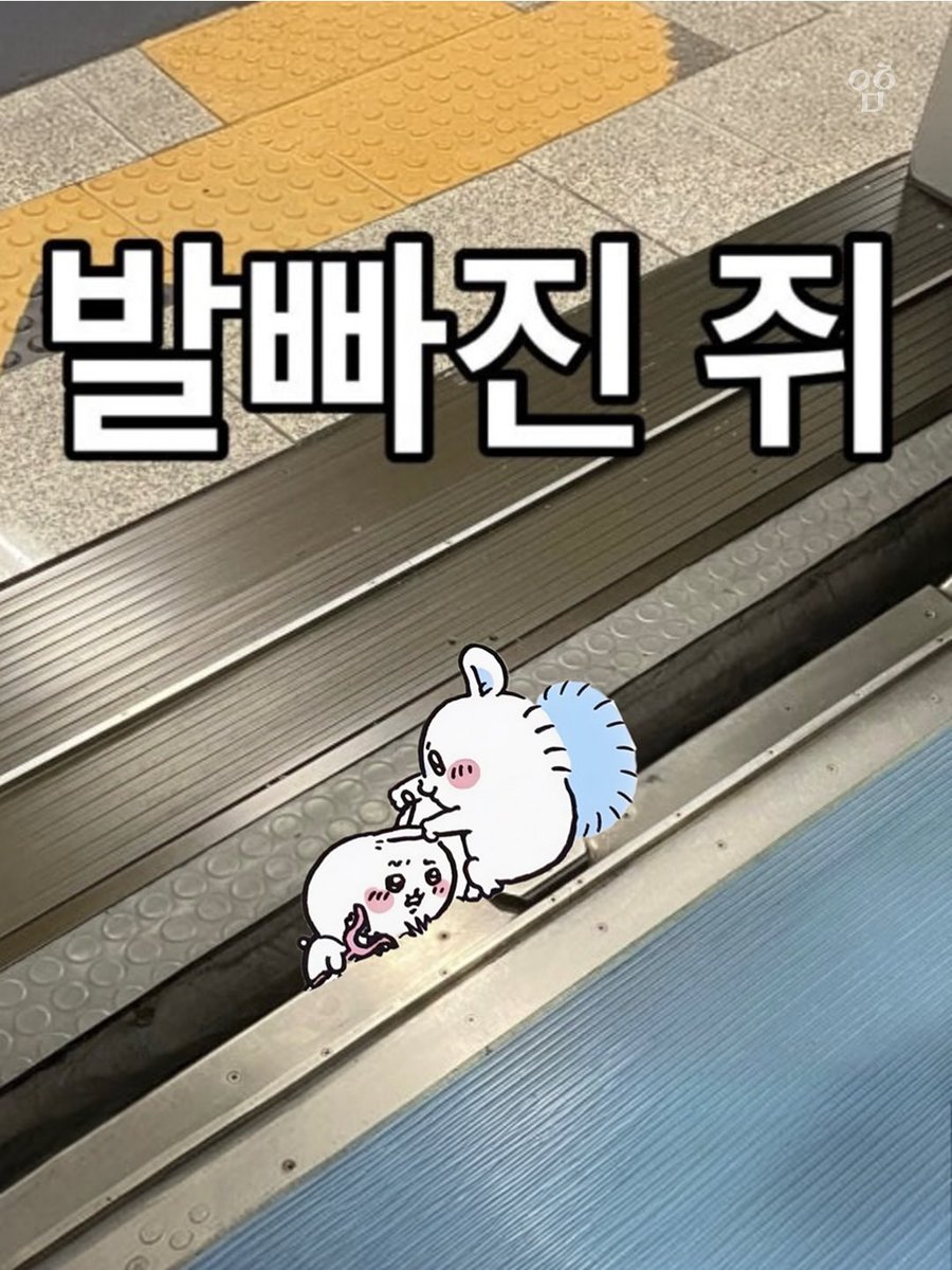 gihaha78900's tweet photo. 치이카와 서울 지하철 탐방기

발빠진 쥐 엔딩 겁나 웃기네 ㅋㅋㅋㅋ

<출처 - https://t.co/hvvlqpXrmH> https://t.co/EHtjeRGAQt
