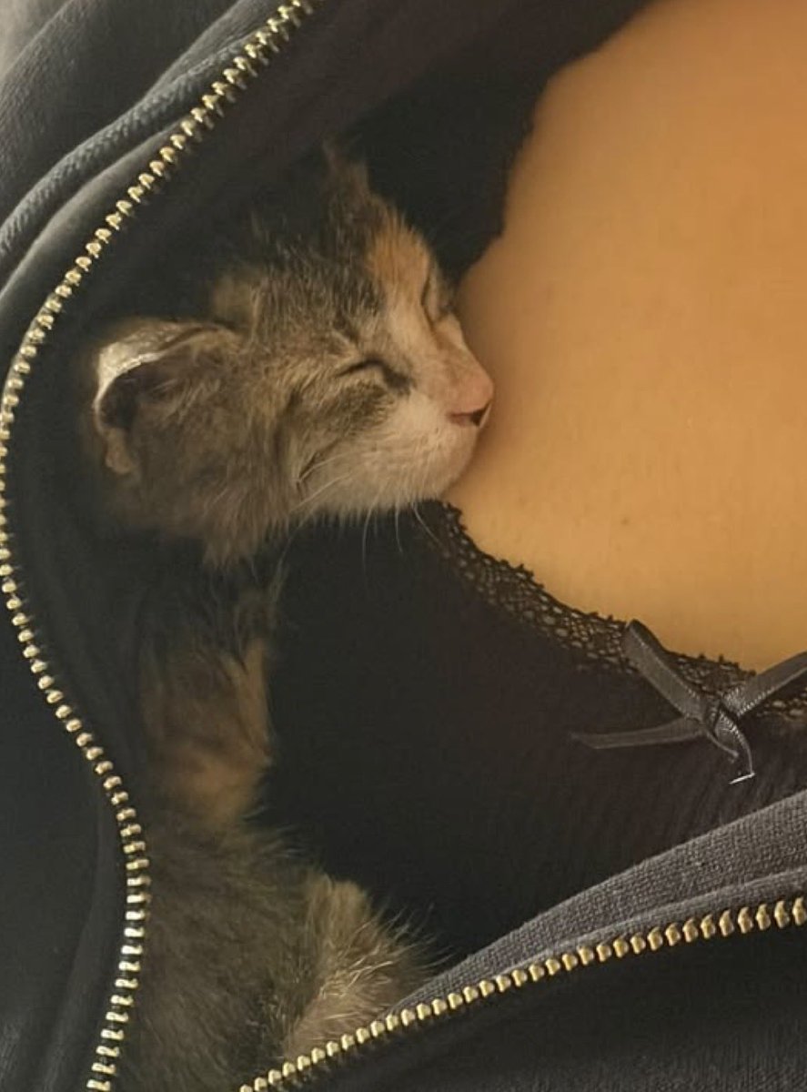 LyNaanii12's tweet photo. Jol jit cat ot🙉 https://t.co/cqlmqGg34U