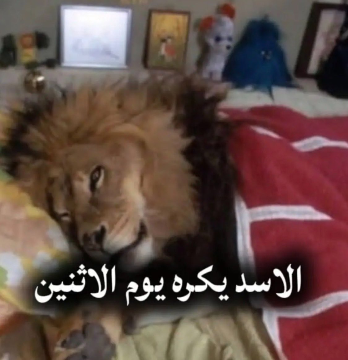 _Fajr9's tweet photo. https://t.co/dedGcM2NNd