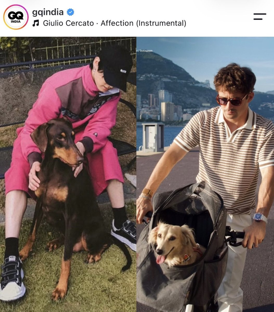 1BforJK's tweet photo. GQ India สื่อแฟชั่นและไลฟ์สไตล์ผู้ชายระดับโลกฉบับประเทศอินเดีย 🇮🇳 แชร์ภาพสัตว์เลี้ยงของเหล่าคนดังระดับโลกอย่าง #จองกุก และ Charles Leclerc 🏎️🌟

“คู่หูสี่ขาที่ขโมยซีนด้วยความน่ารัก ไม่ว่าจะเป็น Leo ของ Charles Leclerc ไปจนถึง Bam ของ #จองกุก โมเมนต์ของเหล่าเจ้าตัวน้อยขนฟูพร้อมเสิร์ฟความคิ้วท์จนใจเจ็บ 🐾” 

ตอกย้ำกระแสความนิยมของ #จองกุก ในฐานะ Global Pop Star ที่แม้แต่สัตว์เลี้ยงก็ยังได้รับความสนใจและถูกจับตามองจากสื่อระดับโลก 🌎 

#JUNGKOOK #정국