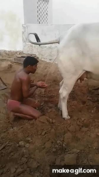 AzanEditz0's tweet photo. @Harpaljiyoo @h_hithere @Fariswaag @ExposeDhonifan ya lindu drink piss https://t.co/53es8P3JEx