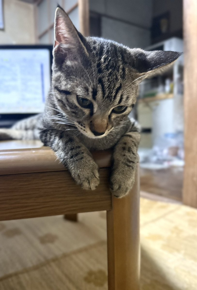 JG2HAS's tweet photo. 朝からしょうもないことでバタバタしてたので時間感覚がズレてきたみたい

隣に住んでいる姉を10時にスーパーへ送って行くために車に乗って待っていたがなかなか来ない
おかしいなと思った時気がついた
まだ9時だった💦
バタバタして支度して損した

兄を見つめる妹と
妹を見つめる兄 https://t.co/nHBJX9Sr95