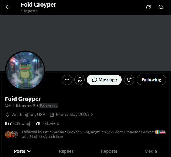 2Pro25's tweet photo. @FoidGroyper69  @Jipper007  @GeneralBankss @ValorousGroyper give these niggas some followers https://t.co/wATgKWpyrq