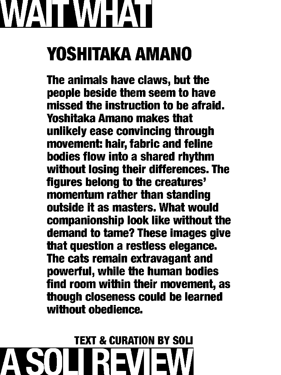 solisolsoli's tweet photo. Less tame in good company · Yoshitaka Amano https://t.co/yklsI90kcH