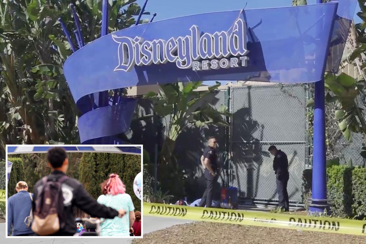 nypost's tweet photo. Dead body found next to Disneyland Resort entrance https://t.co/TGGHWMxR7N https://t.co/y4dDSqoKsG