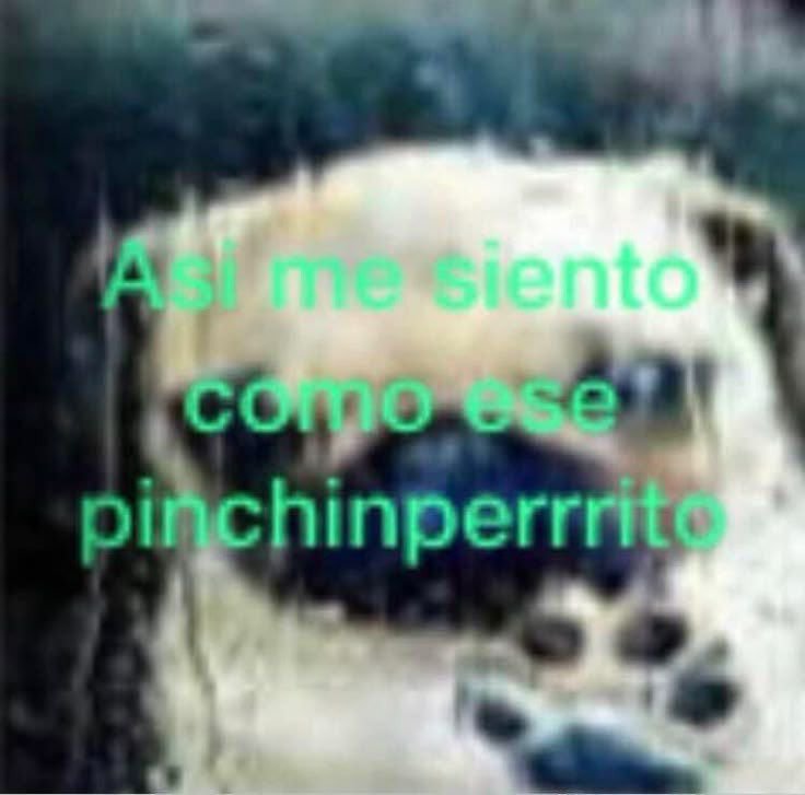 sac_uwu's tweet photo. puse el celular boca abajo con cero notificaciones, me puse a ver una película de 3 horas y cuando termine de verla aun seguia con cero notificaciones. https://t.co/qz3Oxhkqa1