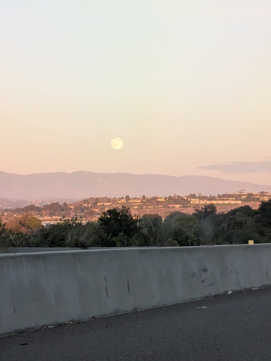 whorrormones's tweet photo. The werewolves better be out tonight https://t.co/fSWfOEIMkT