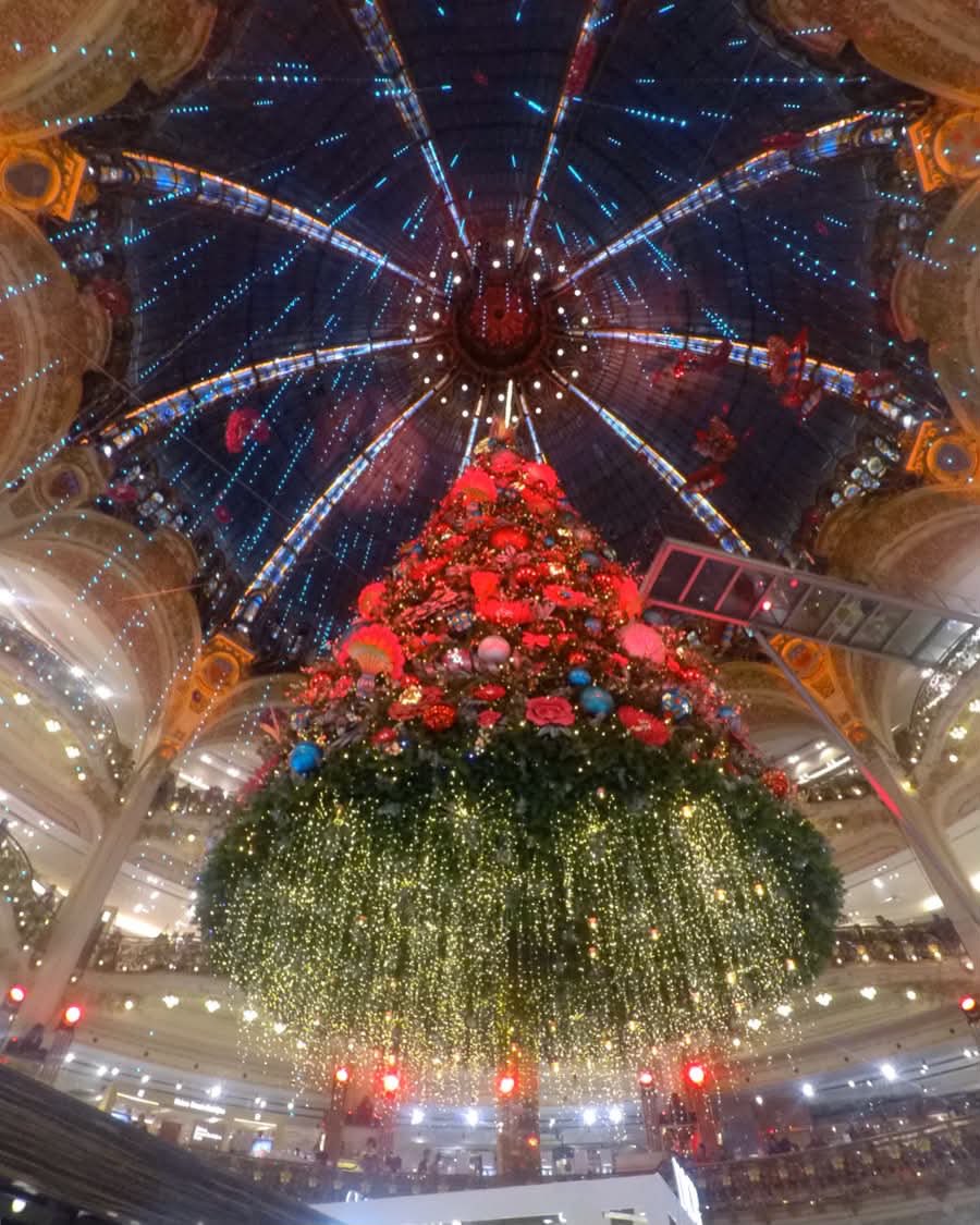 _nnchic's tweet photo. 毎年楽��みにしてる
Galeries Lafayetteのツリー🇫🇷🎄❤️ 

今年は11月12日(木) 18:00〜
点灯・お披露目だそう！

今年のクリスマスのパリも楽しみ✨ https://t.co/5d8cxGXmfB