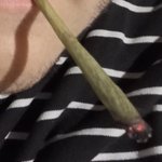 Photo by histórias & cigarros🇵🇸ᶜʳᶠ (@ur4n0ss)
