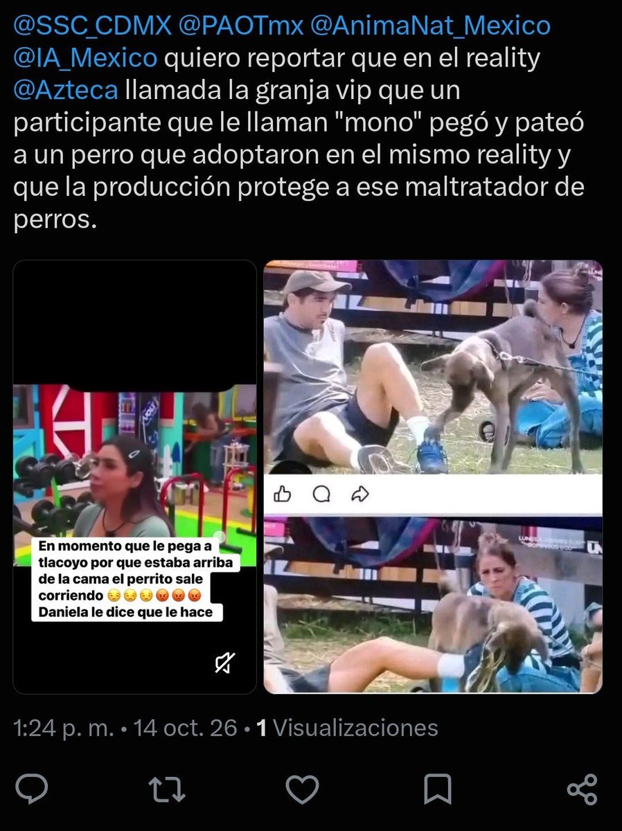 versus666633335's tweet photo. @lagranjavipmx Q no se note q producción fraudulenta ya le avisó a Mono q tenemos pruebas d  las múltiples agresiones q ha hecho contra tlaco y toda la polémica legal en su contra. Él núnca ha sido ”cariñoso” con🐶, todo lo contrario y  lo han PERMITIDO, NO NOS ENGAÑAN. #LaGranjaGala https://t.co/gwd1VEjDCy