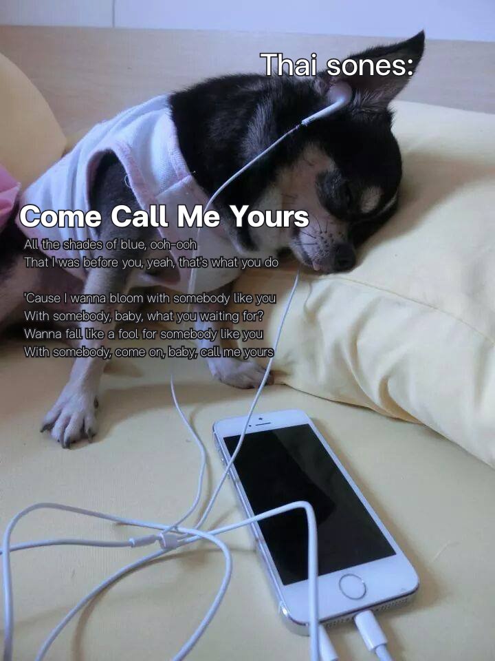 loveseo_9's tweet photo. โซวอนไทยหลังจบคอน #EdgeOfCalm_in_BKK โดยเฉลี่ย
พบว่าเอาเพลง Come Call Me Yours ออกจากหัวไม่ได้
เสียดายที่ตัวเองค้นพบเพลงดีๆของพิเต้บหลังจบคอนแล้ว หนูจะฝึกร้องให้อยู่ในส่วนที่ลึกที่สุดในหัวใจเลยค่ะ 😘
https://t.co/6Wb10eAyTy https://t.co/HYKGkYRhJd