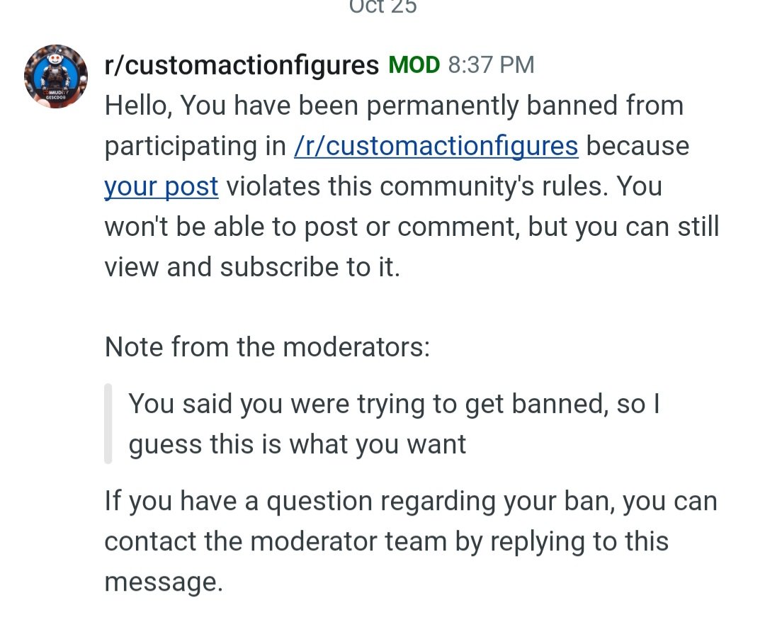 RattoJaxter's tweet photo. Holy shit I got banned on 
r/customactionfigures for my CWC custom. This is hilarious lol https://t.co/fQJIX7MRLl