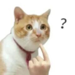 VirtualSample06's tweet photo. Whenever I get a call trying to sell me a luxury mansion https://t.co/deMD5BcmVX